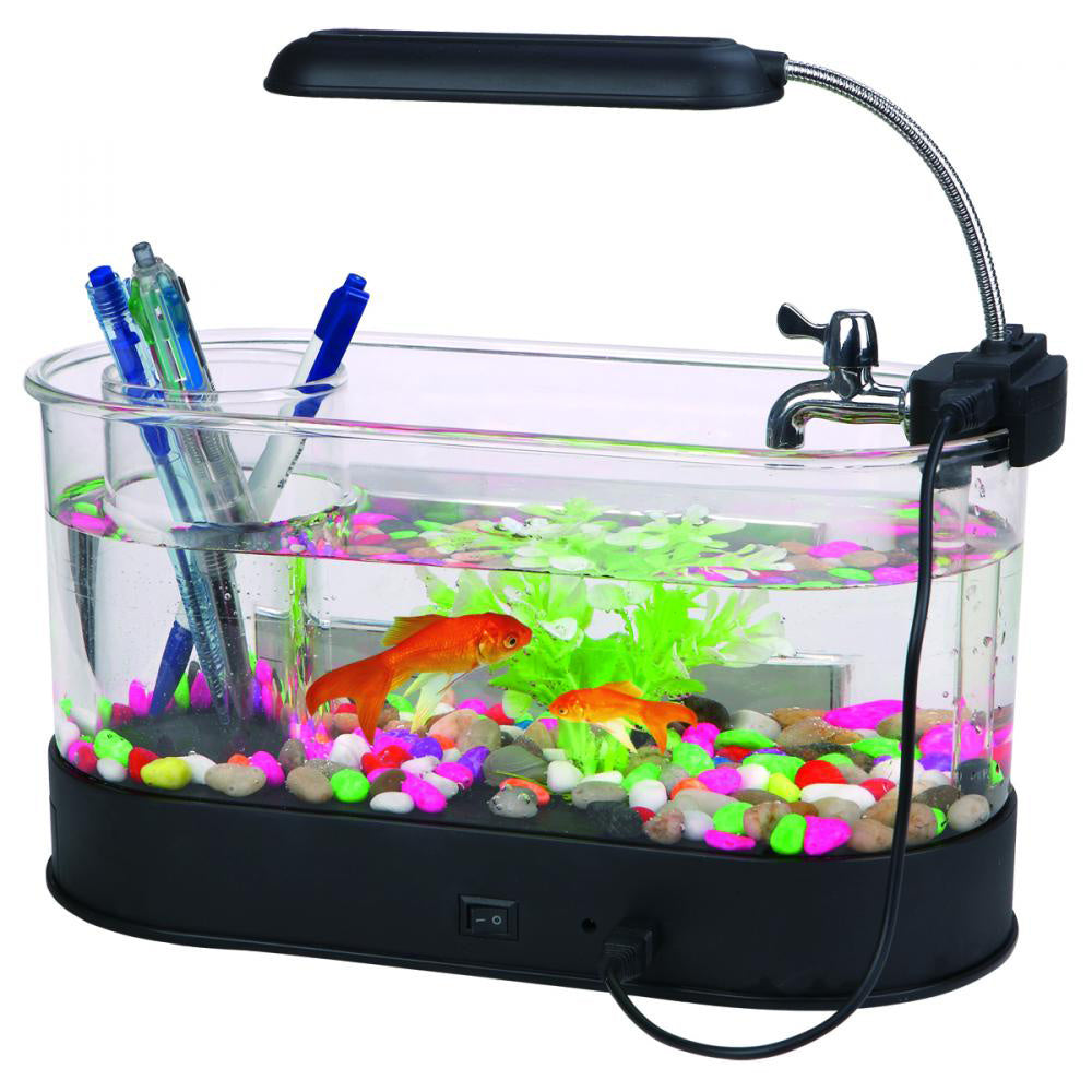 Discover the Inner Loop Mini Desktop USB Fish Tank